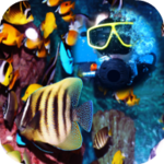 Logo of Sea Animals Frames android Application 